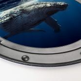 Alu-Dibond 3D-Optik Bullauge - Buckelwal auf Tauchgang - Rund 