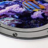 Alu-Dibond 3D Optik - Bunte Unterwasserwelt Lila Korallen - Rund 