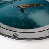 Alu-Dibond 3D-Optik Bullauge - Schildkröte seitlich - Rund 