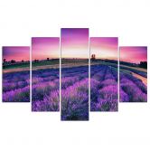 Leinwandbild 5 teilig, Lavendel Lila Feld 