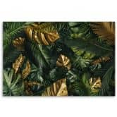 Leinwandbild, Tropische Monstera Blätter Pflanzen 