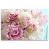 Leinwandbild, Rosa Pfingstrosenblumen 