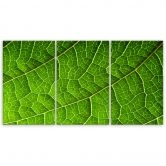 3-delige canvas print, groene bladeren natuur 