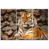 Leinwandbild 3-teilig, Afrika Tiger Tiere 
