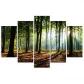 Leinwandbild 5 teilig, Waldgrün Natur 