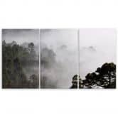 Leinwandbild 3-teilig, Wald im Nebel 