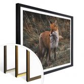 Poster - Fuchs 02 