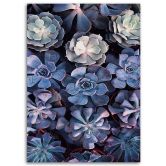 Canvasbillede, Shabby Chic blomster 