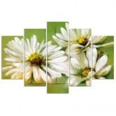 Wandbild 5-teilig, Weiße Margeriten Blumen 