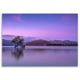 Leinwandbild, Baum auf einem See 