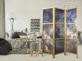 Japanischer Paravent, Raumteiler freistehend, Trennwand - Golden Reflections on Clouds Foretelling Dusk 