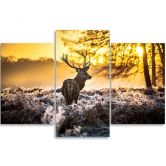 3 stykke lærredsprint, Deer Forest Sunset 