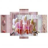 Leinwandbild 5 teilig, Rosa Blume Orchidee 