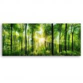 Leinwandbild, Sonnenschein im Wald Landschaft 