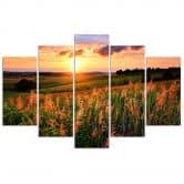 Leinwandbild 5 teilig, Sonnenuntergang Blumen Wiese 