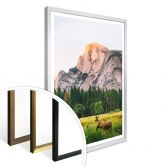 Poster Deers in the Mountains 