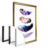 Poster Federn 01 