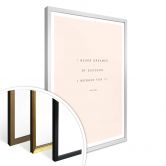 Poster - I never dreamed of Succes 