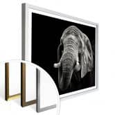 Poster Meermann - Der Elefant 