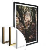 Poster Pause im Wald 