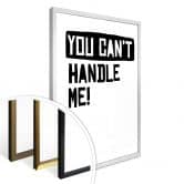 Poster You can't handle me 