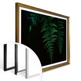 Poster Farn 03 