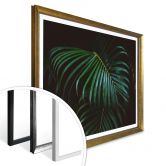 Poster Botanical 04 