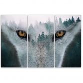3-delige canvas print, Wolf Bos Mist Natuur Bomen 