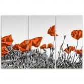 Leinwandbild 3-teilig, Roter Klatschmohn 