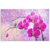 Leinwandbild 3 teilig, Wesentliche Orchideenabstraktion 