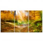 Leinwandbild 3-teilig, Wald Herbst Natur 