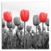 Canvas schilderij, Rode tulpen op een weide 