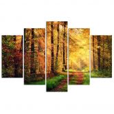 Leinwandbild 5 teilig, Wald Herbst 