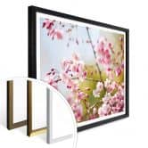 Poster Cherry Blossoms 