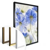 Poster Disher - Blue Frozen 
