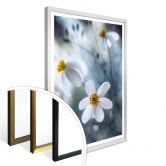Poster Disher - Die weiße Blüte 