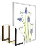 Poster Disher - Frühjahrsblüher 