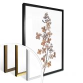 Poster Disher - Hortensie 