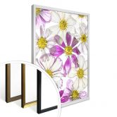 Poster Disher - Keeping Summer 