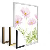 Poster Disher - Sommerblume 