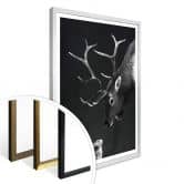 Poster Graves - Deer and Rabbit 