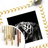 Poster Meermann - Der Tiger - quadratisch 