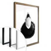 Poster - Prima Ballerina 