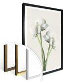 Poster Ranunkel 01 