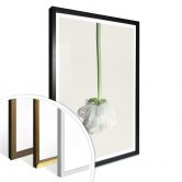 Poster Ranunkel 02 