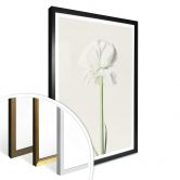 Plakat - Ranunkel 03 