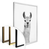 Poster Sisi & Seb - Happy Lama 