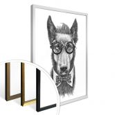 Poster Kools - Docga Bowie 