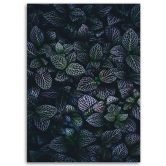 Canvasbillede, Blade af eksotiske planter 