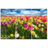Leinwandbild 3-teilig, Bunte Tulpen Blumen Natur 